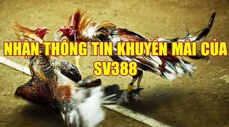 Cac-chuong-trinh-khuyen-mai-SV388