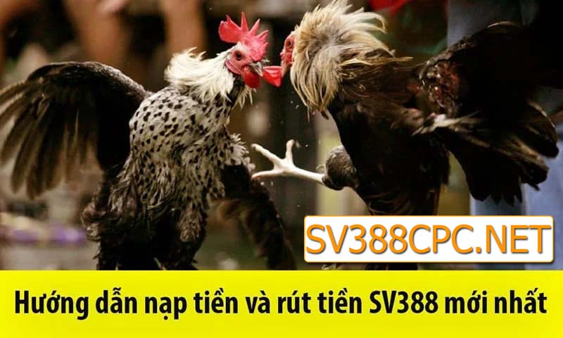 sv388cpc-nap-tien-sv388-nha-cai-uy-tin