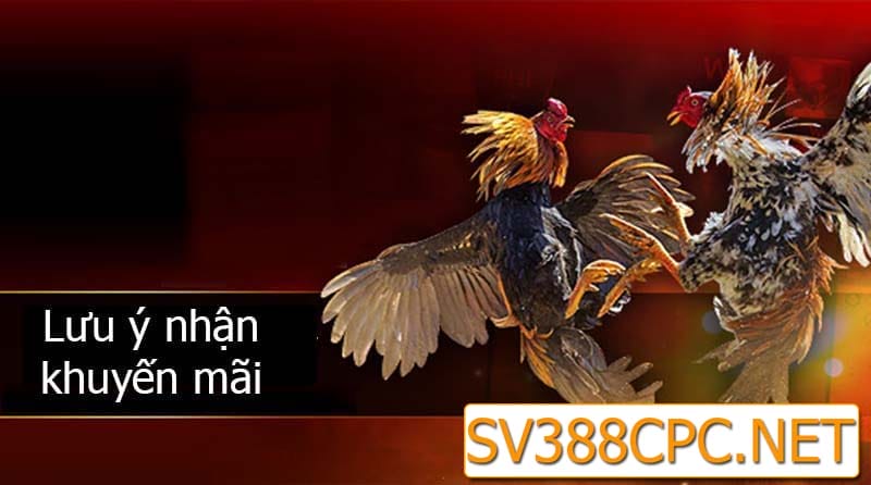 sv388cpc-nhung-luu-y-khi-nhan-khuyen-mai-tai-nha-cai-sv388