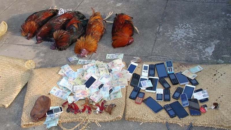 Tang vật của vụ đánh bạc trái phép bằng hình thức đá gà ăn thua bằng tiền đã bị tịch thu.