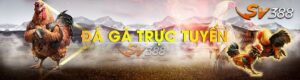 Da-ga-truc-tiep-hom-nay-666-online