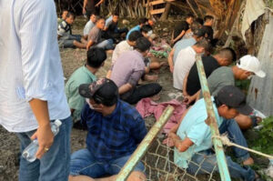 Truy bắt nhóm đối tượng tổ chức cá cược đá gà ngay trong kho gạo bị bỏ hoang